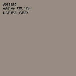 #958B80 - Natural Gray Color Image